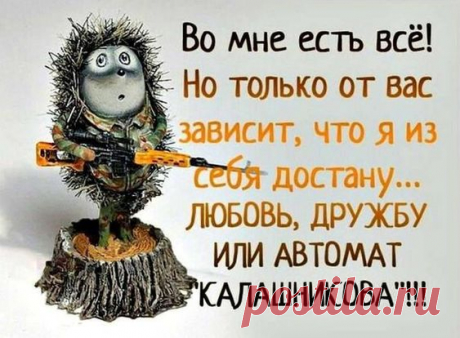Такой бодрящий и искромётный – лучший юмор на любое настроение