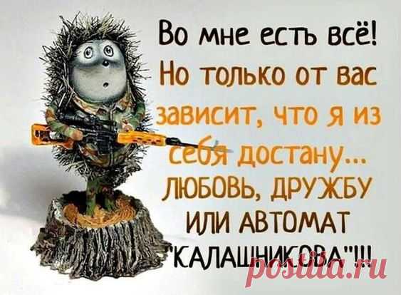 Такой бодрящий и искромётный – лучший юмор на любое настроение