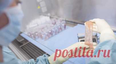 Врач Кулиев допустил, что пострадавшему в Электростали понадобится многоэтапная операция. Врач, реконструктивный хирург Теймур Кулиев в беседе с RT спрогнозировал, как будет проходить восстановление мужчины, которому в подмосковной Электростали срезали скальп из-за цвета волос. Читать далее