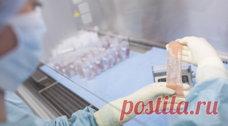 Врач Кулиев допустил, что пострадавшему в Электростали понадобится многоэтапная операция. Врач, реконструктивный хирург Теймур Кулиев в беседе с RT спрогнозировал, как будет проходить восстановление мужчины, которому в подмосковной Электростали срезали скальп из-за цвета волос. Читать далее