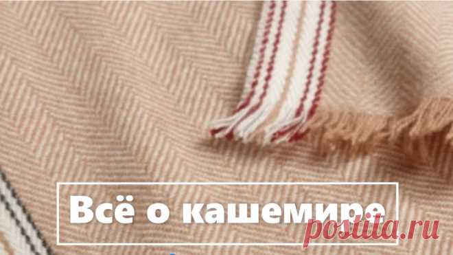 Кашемир это особый вид шерсти, который называют "мягким золотом". Стоит кашемир очень дорого, попробуем разобраться, стоит ли он того или это просто раскрученный бренд?