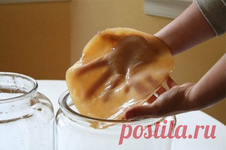 ЧАЙНЫЙ ГРИБ — АНТИБИОТИК ИЗ БАНКИ. КАК ВЫРАСТИТЬ САМОСТОЯТЕЛЬНО. 
Чайный гриб — антибиотик из банки. Как вырастить самостоятельно. 
Чайный гриб — это симбиоз различных бактерий и дрожжей, возникший в естественных условиях. Чайный гриб был настолько популярен среди жителей различных народностей, что упоминания о нём можно найти практически в каждой культуре. Это не удивительно, ведь помимо приятного вкуса и ряда полезных свойств, культуральная жидкость чайного гриба является мощнейшим антибиоти