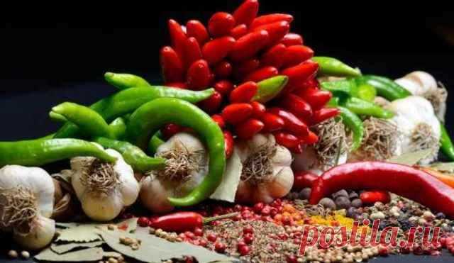 16 сумасшедших фактов, которые изменят ваши понятия о правильном питании Бытует довольно большое количество заблуждений, которые связаны с правильным питанием. К примеру, лишая себя некоторых продуктов вы можете лишать свой организм важных полезных веществ, помогающих подд…