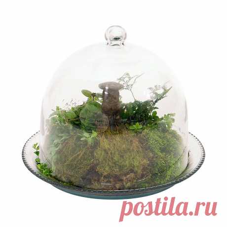 Achla Bell Jar Terrarium III | ShopLadder