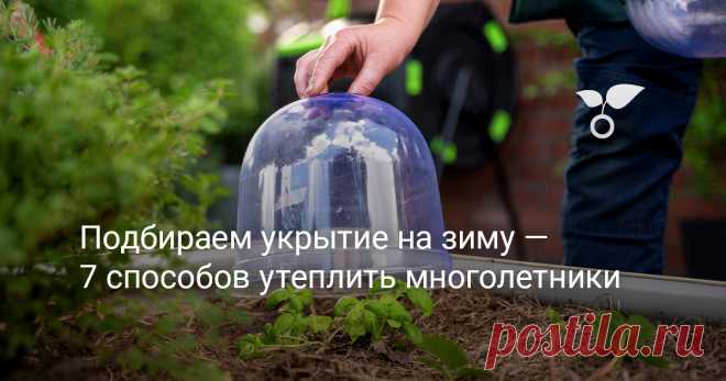 Подбираем укрытие на зиму — 7 способов утеплить многолетники Когда осенью начинает холодать, самое время задуматься об укрытии многолетников на зиму. По большей части популярные многолетние растения прекрасно зимуют в средней полосе. Но существуют и более нежные виды, которые также могут зимовать, если следовать простым инструкциям. В этой статье вы найдете советы о том, как защитить растения зимой, чтобы цветник вернулся к жизни в будущем сезоне