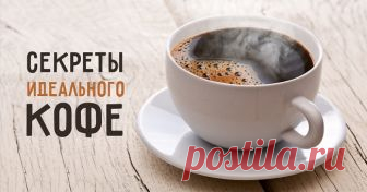 Как приготовить идеальный кофе: 7 секретов от бариста;)) — Готовим дома