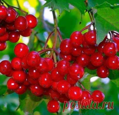 Конец сентября:  праздники, приметы  и традиции на Руси