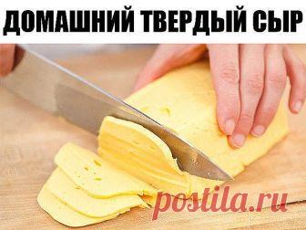 Домашний твердый сыр

Приготовить домашний твердый сыр не так уж и сложно. Такой сыр можно смело давать малышу, ведь в нем не будет никаких ароматических добавок и красителей.

Ингредиенты:
- 500 грамм жирного творога (не менее 9%) зернистого
- 500 мл молока (чем жирнее, тем лучше, но я брала обычное 3,2%)
- 50 грамм сливочного масла
- 0,5 чайной ложки соды
- 1 яйцо
- соль по вкусу (примерно 0,5 чайной ложки)

Способ приготовления домашнего твердого сыра:
1. Выливаем молок...