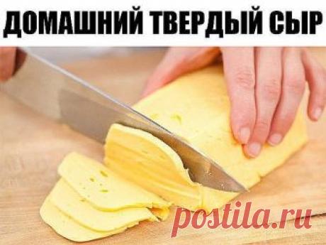 Домашний твердый сыр

Приготовить домашний твердый сыр не так уж и сложно. Такой сыр можно смело давать малышу, ведь в нем не будет никаких ароматических добавок и красителей.

Ингредиенты:
- 500 грамм жирного творога (не менее 9%) зернистого
- 500 мл молока (чем жирнее, тем лучше, но я брала обычное 3,2%)
- 50 грамм сливочного масла
- 0,5 чайной ложки соды
- 1 яйцо
- соль по вкусу (примерно 0,5 чайной ложки)

Способ приготовления домашнего твердого сыра:
1. Выливаем молок...