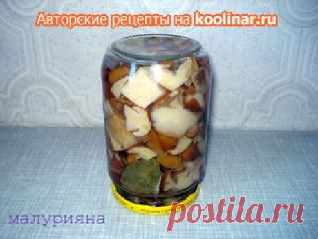 Маринованные маслята. Рецепт c фото, мы подскажем, как приготовить!