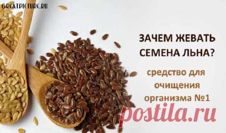 Зачем жевать семена льна - панацея от многих болезней