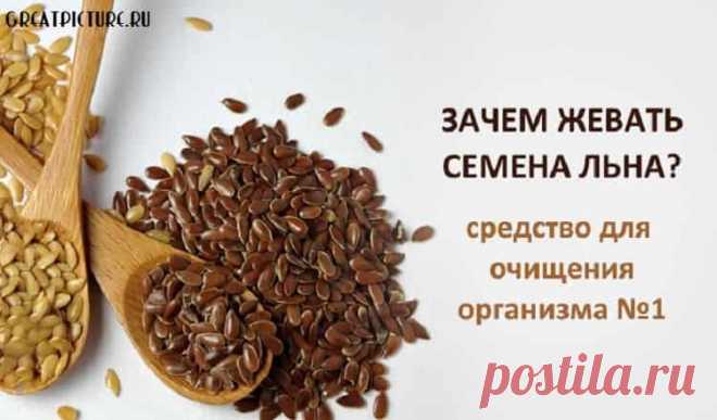 Зачем жевать семена льна - панацея от многих болезней