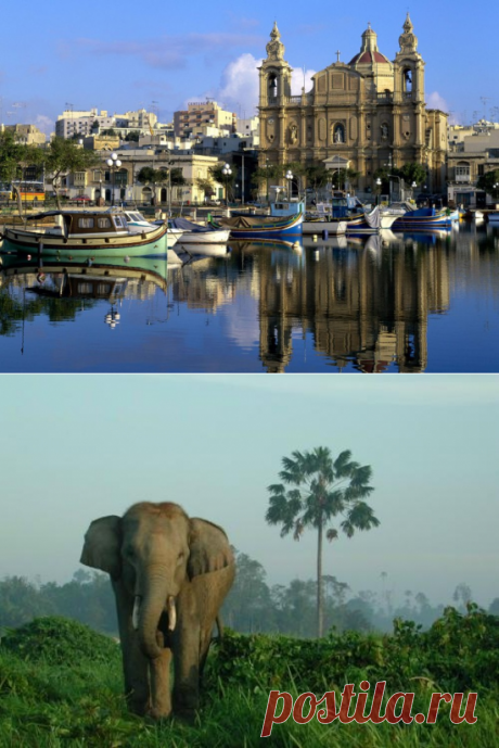 Россия могла бы быть больше. Мадагаскар, Гавайи и Корея — эти сказочные земли могли стать частью России| Politiko