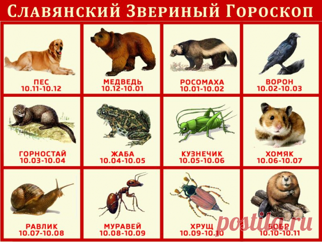 СЛАВЯНСКИЙ ЗВЕРИНЫЙ ГОРОСКОП.