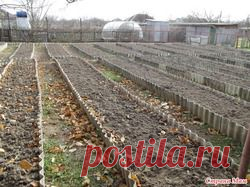 Как повысить плодородие почвы быстро и существенно.: Группа Органическое земледелие