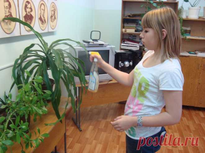 Цветовод Алина)