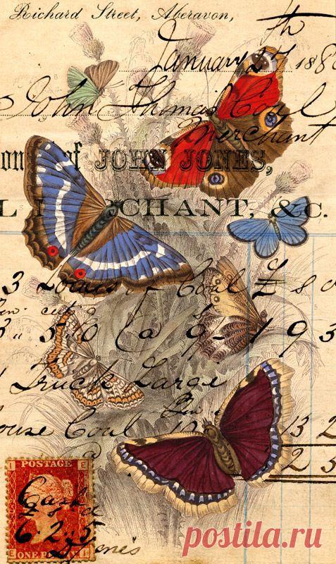 Найдено на сайте gelaskins.com.