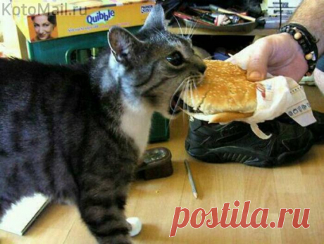 И это всё мне?!