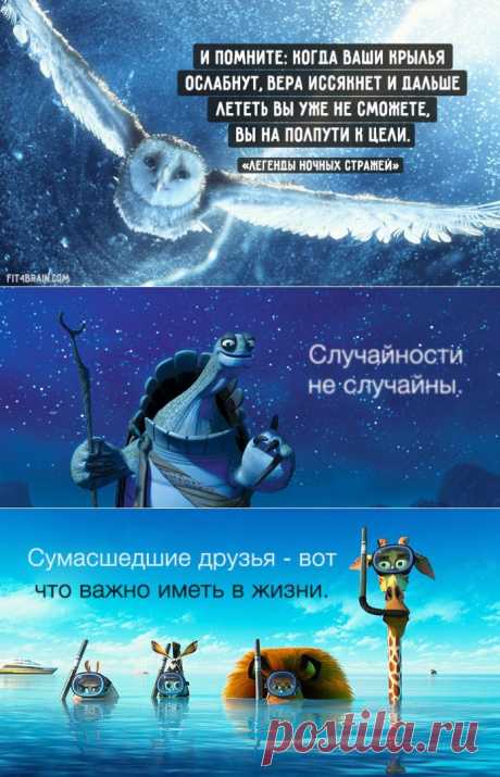 Перлы из мультфильмов