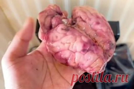 Любитель испорченной еды рассказал о самом отвратительном блюде в жизни. Индонезийский тиктокер Харицу прославился в Японии благодаря видео, в которых он ест испорченную и заплесневевшую еду. Самыми отвратительными блюдами в своей карьере он считает тухлые яйца и рис с плесенью. В первом случае его смущал запах, а во втором случае — черви. Несмотря на это, тиктокер съел и то и другое.