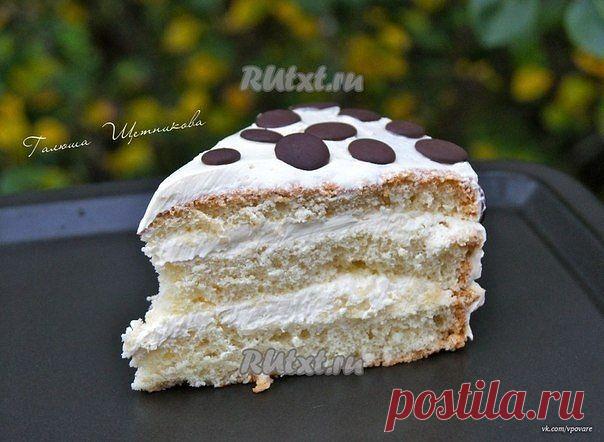 Вкусный бисквитный торт "Елизавета" » В сети – себя просвети!