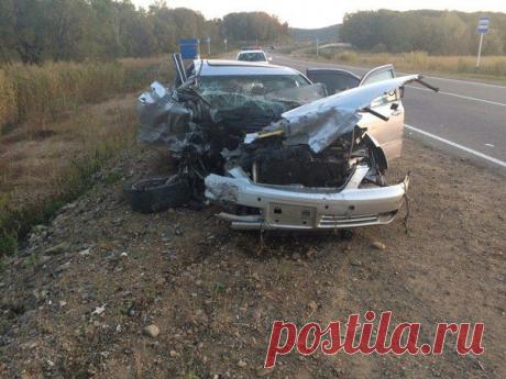 Сохранённые фотографии | 2 фотографии