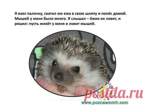 Тематическое занятие по рассказу Пришвина 