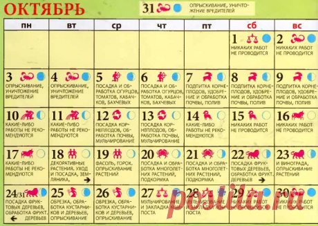 Лунный посевной календарь на октябрь 2016 года