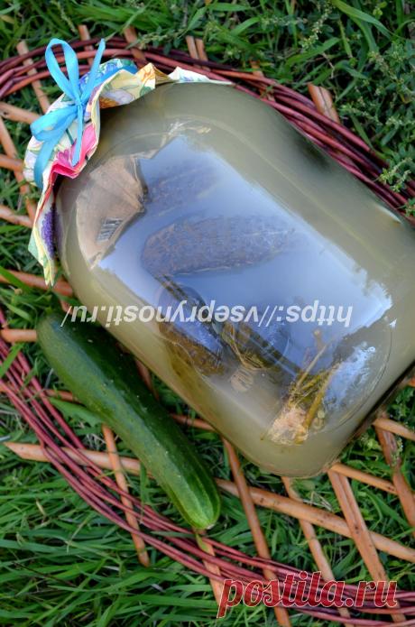 Квашеные огурцы на зиму - хрустящие и вкусные