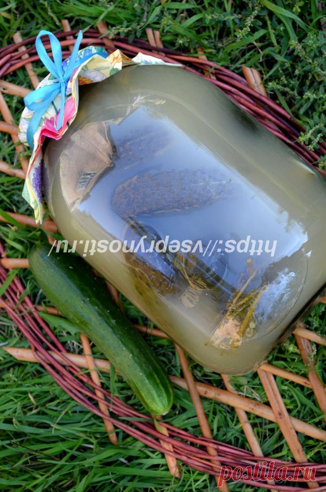 Квашеные огурцы на зиму - хрустящие и вкусные