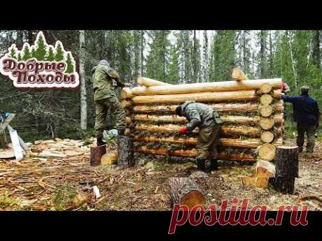 ЛЕСНАЯ ИЗБА - СТАВИМ СРУБ ЗА 4 ДНЯ 👍👈🌲