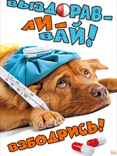 хх
