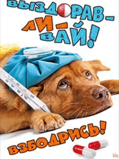 хх