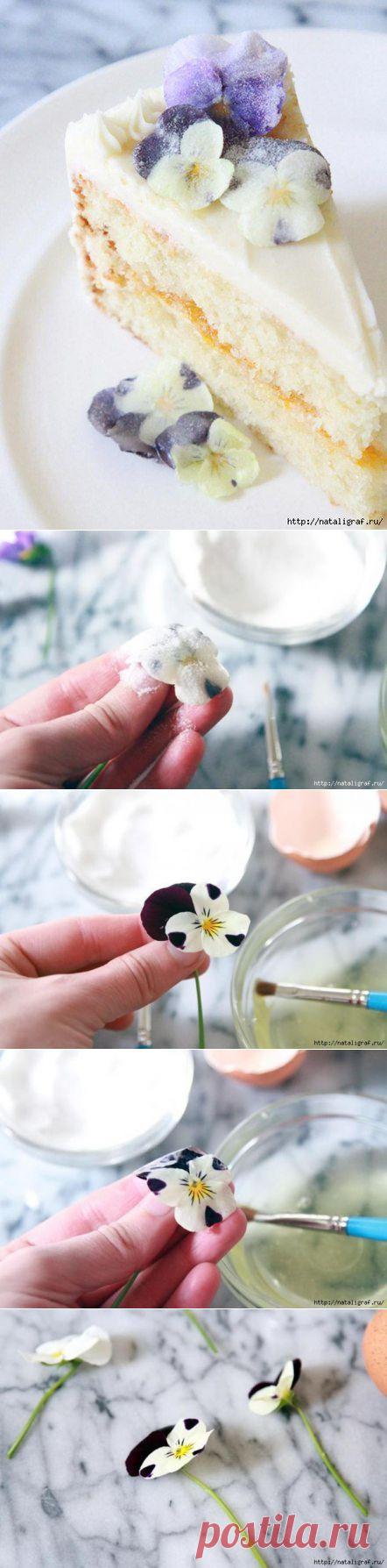 Засахариваем фиалки для декора ваших блюд