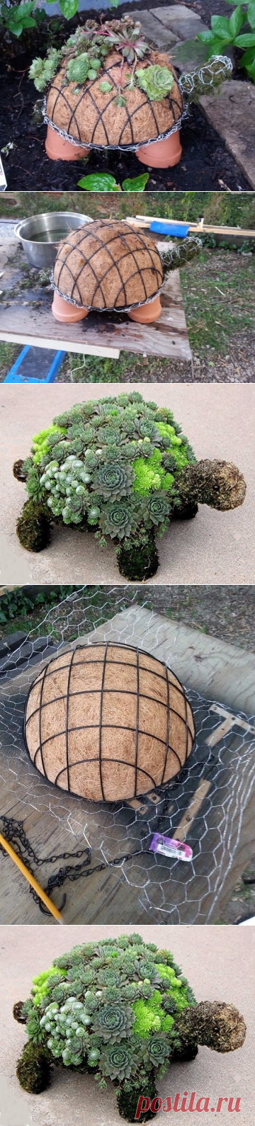 УДИВИТЕЛЬНАЯ ЧЕРЕПАХА ИЗ ЦВЕТОВ