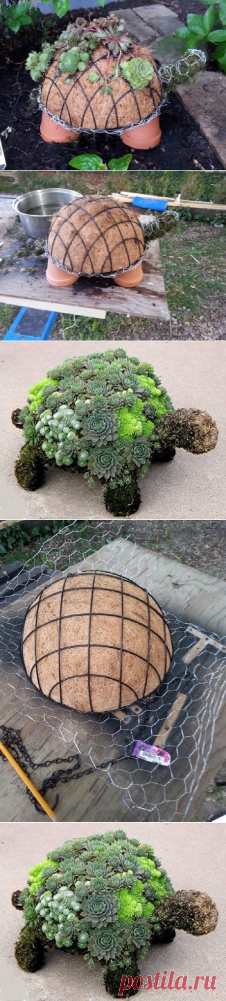 УДИВИТЕЛЬНАЯ ЧЕРЕПАХА ИЗ ЦВЕТОВ