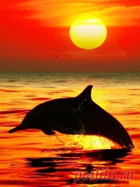 Фото Без названия. Альбом Фото группы - 19347 фото. Фотографии Животные рядом.