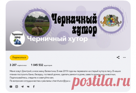 Лучшие видео с канала "Черничный хутор", которые понравились нашим подписчикам в ноябре 2020 | Черничный хутор | Яндекс Дзен