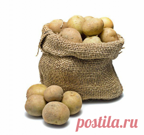 КАРТОШКА - витамин С и не только. Новый взгляд.
