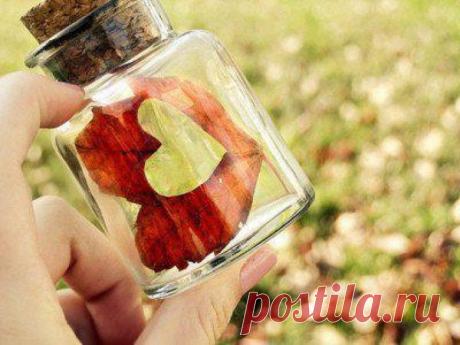 88fc90efd3a9f0561cb4f92b05712f8c.jpg (720×540)