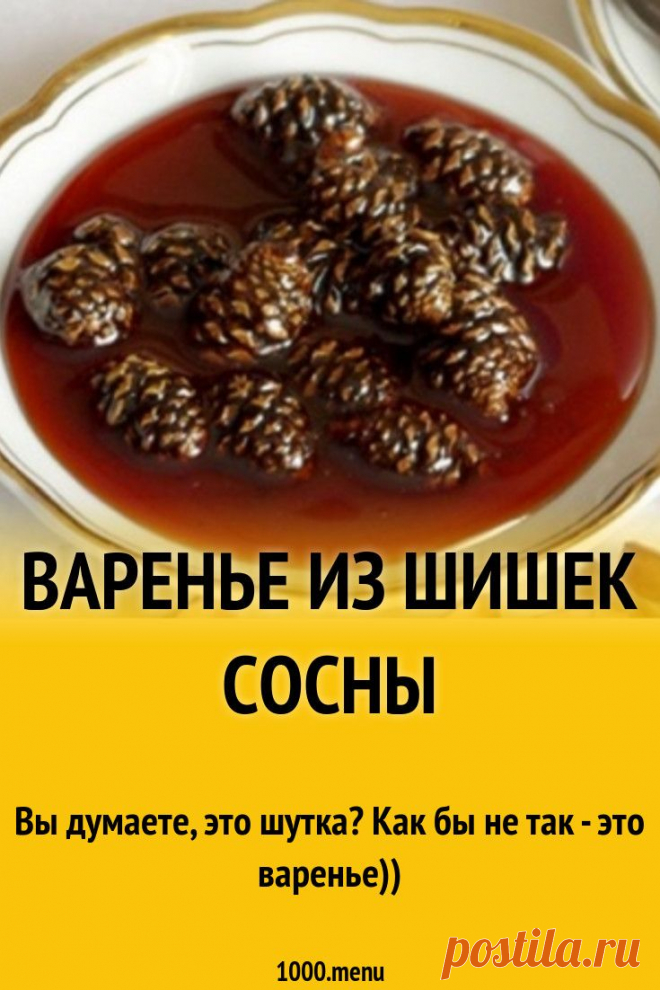 Пин содержит это изображение: Варенье из сосновых или еловых шишек рецепт с фото пошагово и видео