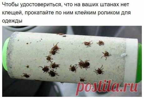 Маленькие хитрости / Домашний лайфхак