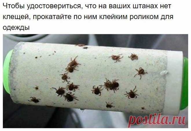 Маленькие хитрости / Домашний лайфхак