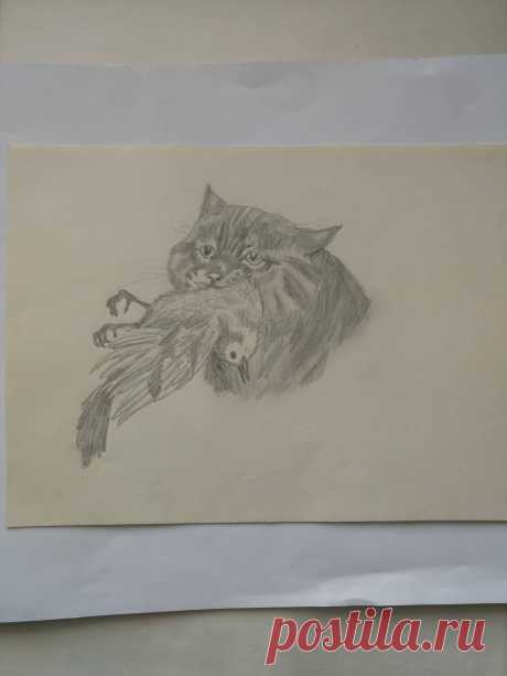 Кот 1995 г. (карандаш)