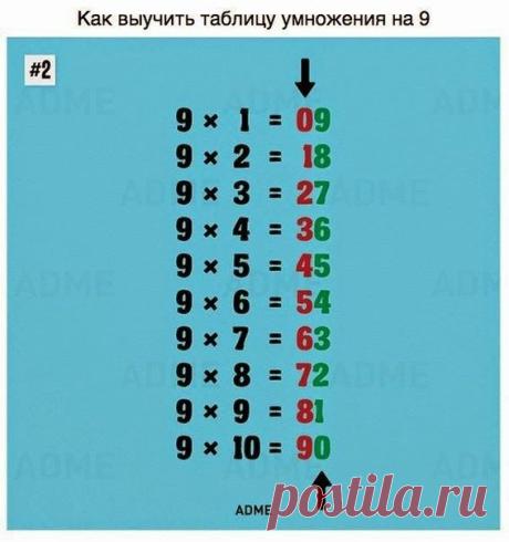 Такому в школе нас не учили. А жаль!