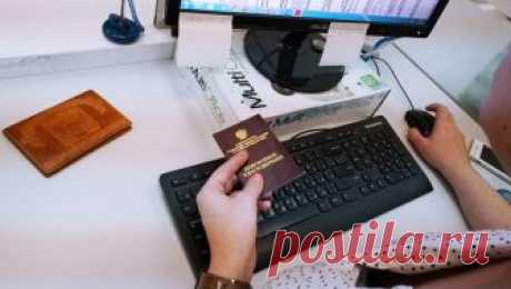 В России появится новая профессия -ЦИФРОВОЙ КУРАТОР- Mail Новости