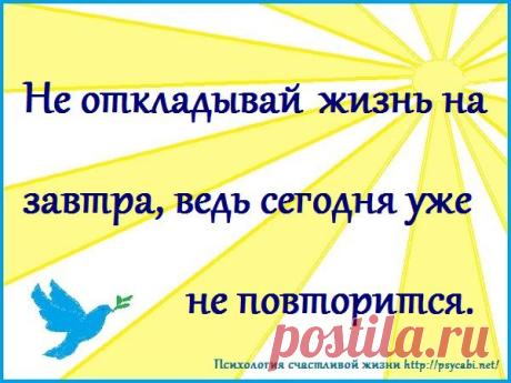 Мотиваторы - Психология счастливой жизни
