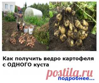 С этим советом вы будете точно знать, что покупаете сыр, а не подделку из сухого молока! Теперь выбираю только натуральный! — Копилочка полезных советов