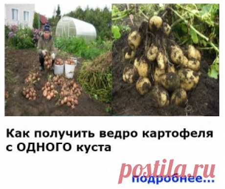 С этим советом вы будете точно знать, что покупаете сыр, а не подделку из сухого молока! Теперь выбираю только натуральный! — Копилочка полезных советов