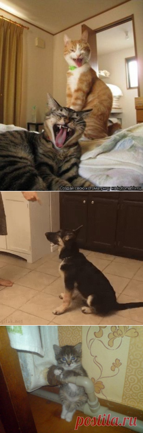 * * * * * * * * * * * *